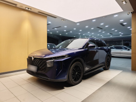 启辰大V 2021款 260T 爱豆版