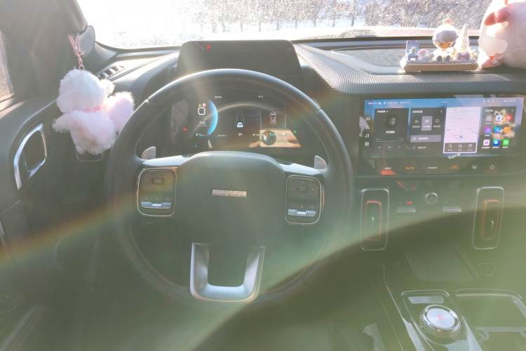 哈弗大狗 2021款 改款 1.5T DCT两驱马犬版中控内饰13