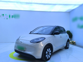 五菱汽车 五菱缤果 2023款 410km 灵犀尊享款