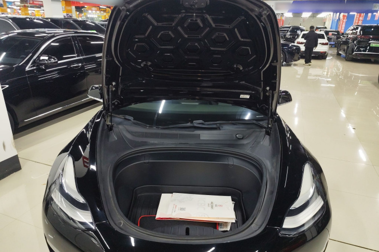 特斯拉 Model 3(进口) 2019款 长续航全轮驱动版局部细节24