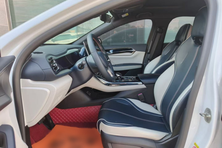 比亚迪 秦PLUS 2021款 EV 500KM 豪华型局部细节19