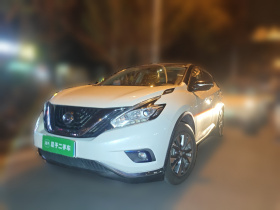 日产 楼兰 2019款 2.5L XE 两驱精英版 国V