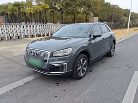 奥迪Q2L e-tron 2019款 Q2L e-tron 纯电智酷型