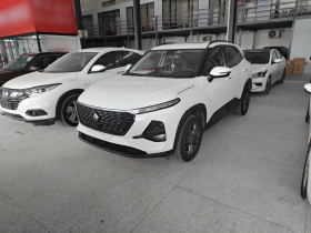 宝骏RS-3 2020款 1.5L CVT  24小时在线豪华型