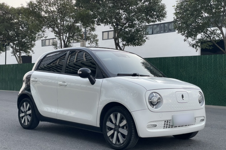 欧拉黑猫 2019款 351km 灵智版车身外观6004