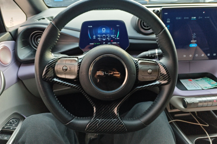 比亚迪 海豚 2021款 401km 骑士版局部细节13