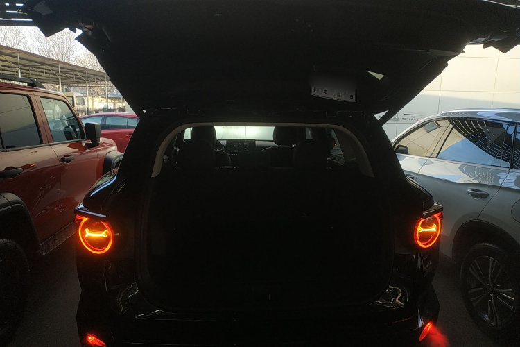 哈弗大狗 PLUS 2026款 2.0T 四驱潮野版局部细节23