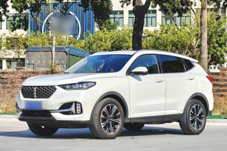 魏牌 VV6 2021款 2.0T 两驱智护+