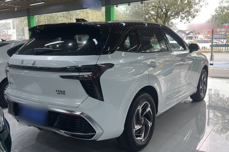 红旗HS3 2023款 1.5T 两驱善为版车身外观6004