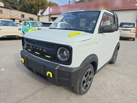 吉利银河 2025款 210km 熊猫骑士