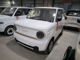 吉利银河 2024款 熊猫mini 200km 耐力熊