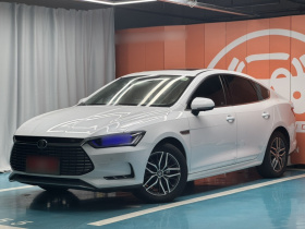 比亚迪 秦Pro新能源 2019款 EV 超能版 高功率智联领享型