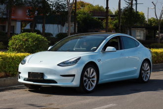 特斯拉 Model 3 2019款 标准续航后驱升级版