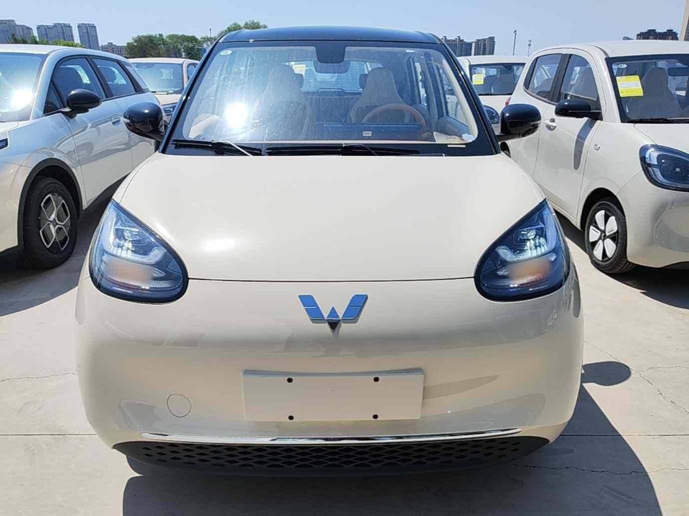 五菱汽车 五菱缤果 2025款 333km 悦享款(1)