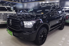 坦克500 2022款 3.0T 运动版 造境型 7座