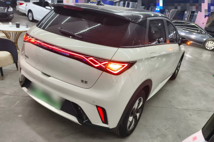 比亚迪 海豚 2025款 420km 自由版车身外观7