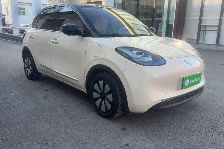 五菱汽车 五菱缤果 2025款 333km 灵犀尊享款车身外观6007