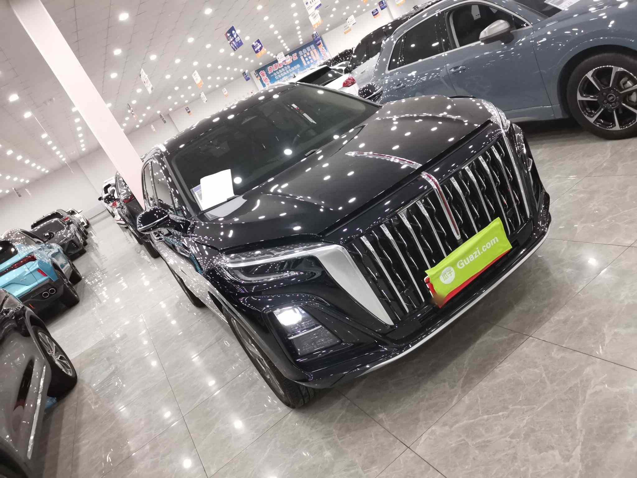 红旗HS3 PHEV 2024款 115km 劲为版(3)