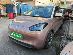 五菱汽车 五菱缤果 2023款 333km 灵犀互联+款