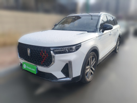 奔腾T99 2020款 20TD 自动运动尊贵型