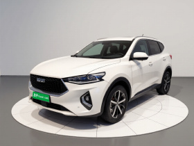 哈弗F7 2019款 1.5T 两驱i潮 国VI