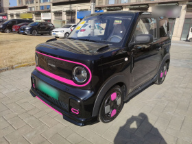 吉利银河 2025款 210km 熊猫卡丁