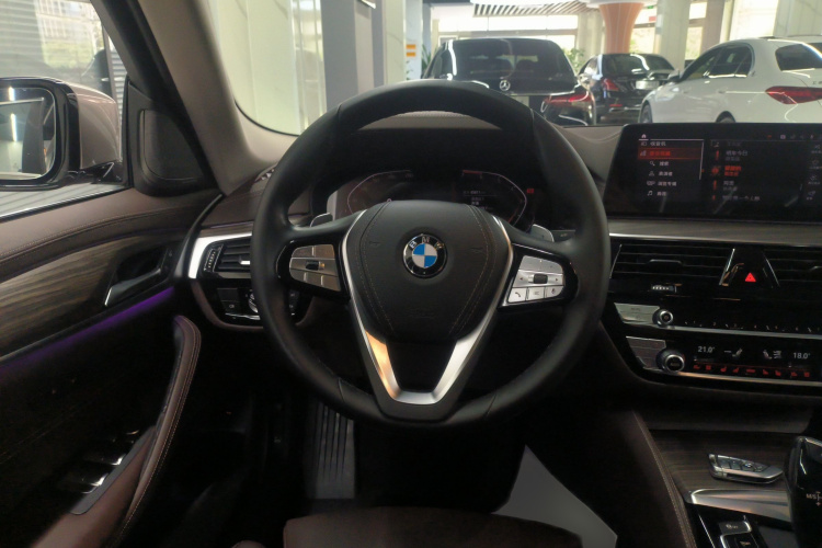 宝马5系 2020款 530Li 尊享型 豪华套装局部细节13