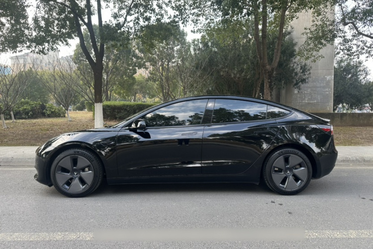 特斯拉 Model 3 2021款 标准续航后驱升级版车身外观6006