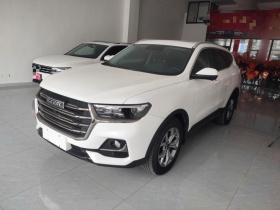 哈弗H6 2021款 国潮版 1.5T 自动冠军版