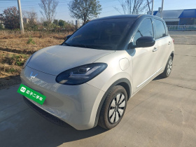 五菱汽车 五菱缤果 2024款 333km 悦享款