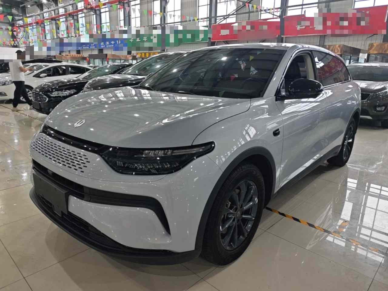 零跑汽车 零跑C11 2023款 增程 180舒享版(2)