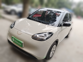 五菱汽车 五菱缤果 2024款 203km 轻享款