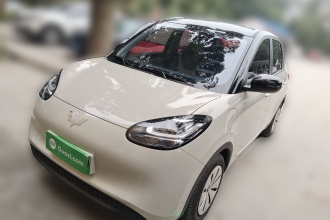 五菱汽车 五菱缤果 2024款 203km 轻享款