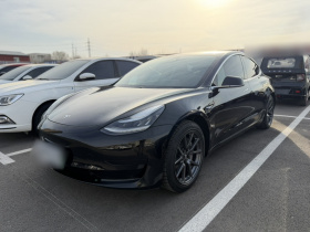 特斯拉 Model 3 2019款 标准续航后驱升级版