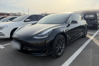 特斯拉 Model 3 2019款 标准续航后驱升级版