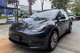特斯拉 Model Y 2024款 后轮驱动版