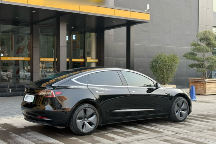 特斯拉 Model 3(进口) 2019款 长续航后驱版车身外观6005
