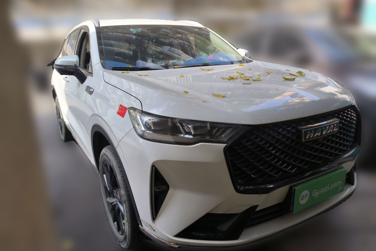 哈弗H6 2021款 第三代 2.0T 自动四驱Max车身外观6002