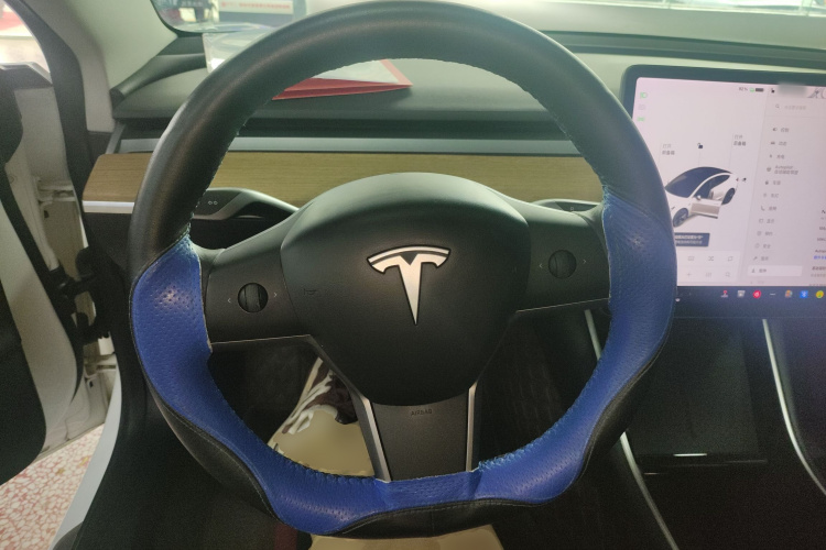 特斯拉 Model 3 2019款 标准续航后驱升级版局部细节13