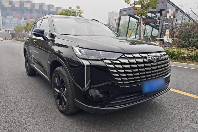哈弗H6 2024款 2.0T 四驱Max车身外观6002