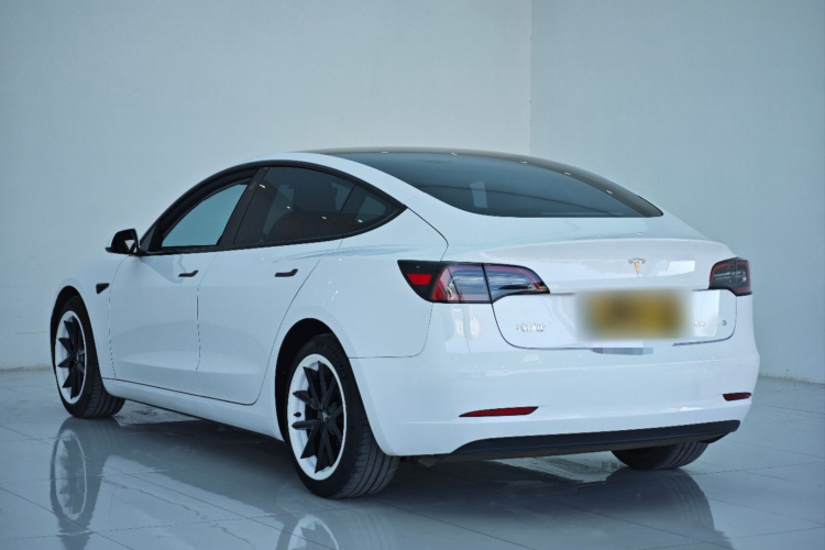 特斯拉 Model 3 2021款 标准续航后驱升级版 3D6车身外观6003
