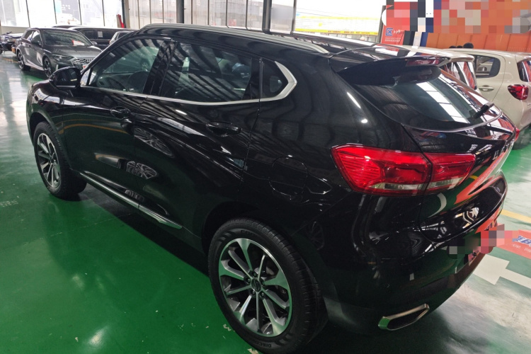 哈弗F5 2019款 国潮版 1.5T i潮 国VI车身外观6003