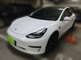 特斯拉 Model 3 2021款 标准续航后驱升级版