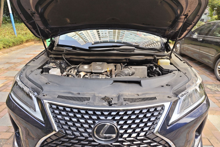 雷克萨斯RX 2020款 改款 300 四驱典雅版局部细节24