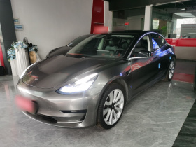 特斯拉 Model 3 2019款 标准续航后驱升级版