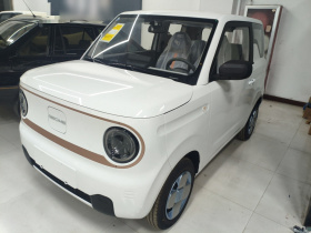 吉利银河 2024款 熊猫mini 200km 耐力熊
