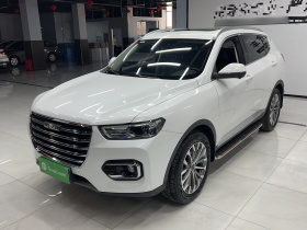 哈弗H6 2020款 1.5GDIT 自动铂金冠军版