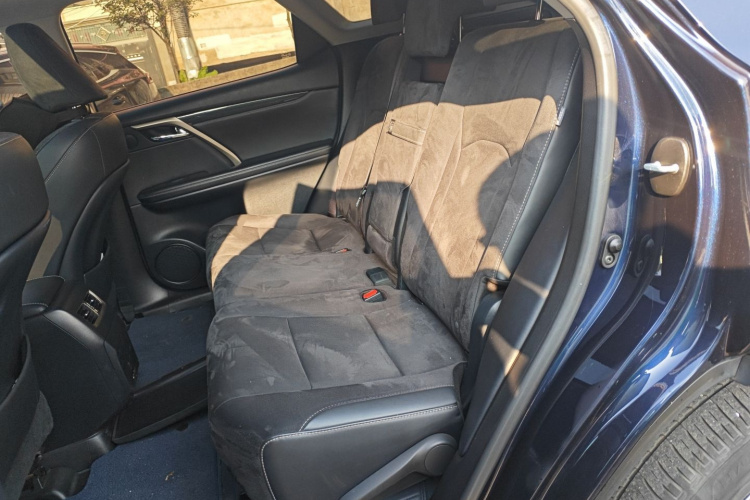 雷克萨斯RX 2020款 300 两驱精英版 国VI中控内饰21