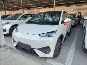 比亚迪 海鸥 2025款 智驾版 305km 活力版