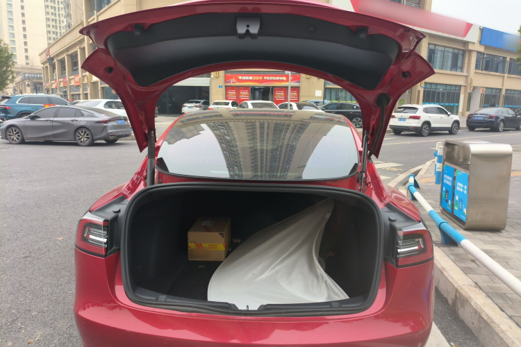 特斯拉 Model 3 2021款 标准续航后驱升级版机舱底盘23